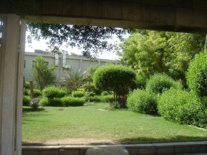 The Garden of Banu Sa’edah - where Abu Bakr r.a. was appointed leader