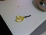 Toddles' Scissors