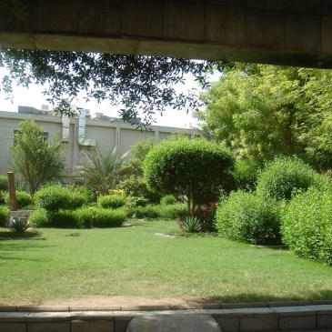 The Garden of Banu Sa’edah - where Abu Bakr r.a. was elected as the first khalifah