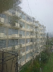 More from the immense downpour one June afternoon