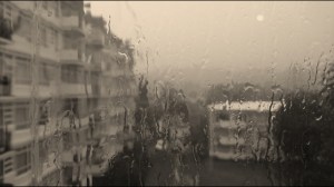 More from the immense downpour one June afternoon