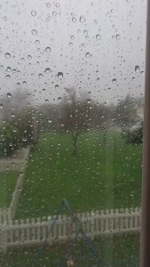 Though July was drier, we still had good rain at times.