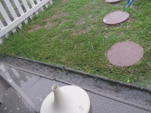 Gutters carried mini rivers - July 2018