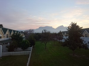 After being dead earlier in the year, our grass grew enough to finally be cut in July 2018