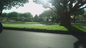 The grass still looked good in October 2018