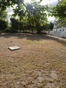 Our lawns in February 2018.