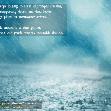 The poem snippet reads: Single drops joining to form impromptu streams, gently transporting debris and dead leaves to resting places in stormwater sewers. So too do moments in time gather, transporting our youth towards inevitable decline.