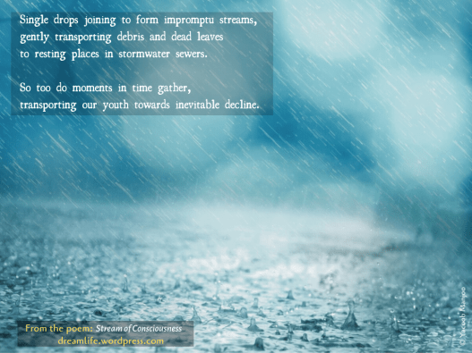 The poem snippet reads: Single drops joining to form impromptu streams, gently transporting debris and dead leaves to resting places in stormwater sewers. So too do moments in time gather, transporting our youth towards inevitable decline.