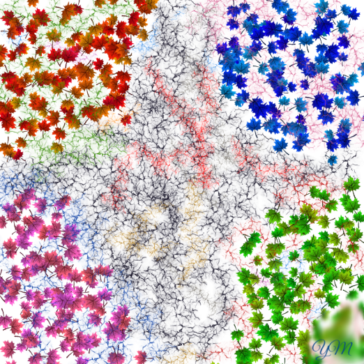 Four Seasons of Autumn