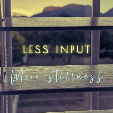 Less input, more stillness