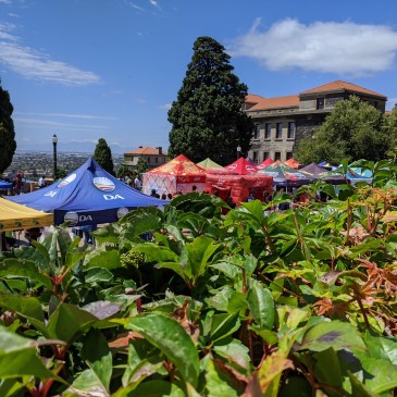 Orientation Week at the University of Cape Town (February 2020)